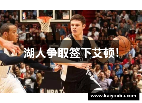 湖人争取签下艾顿！