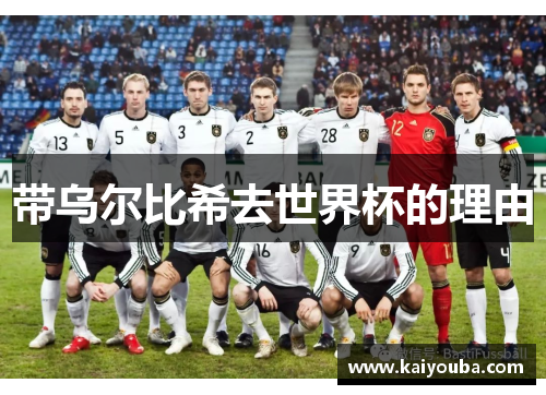 带乌尔比希去世界杯的理由